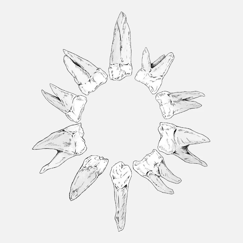 Teeth