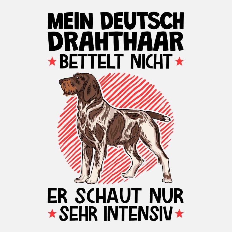 Deutsch Drahthaar bettelt nicht Jagdhund