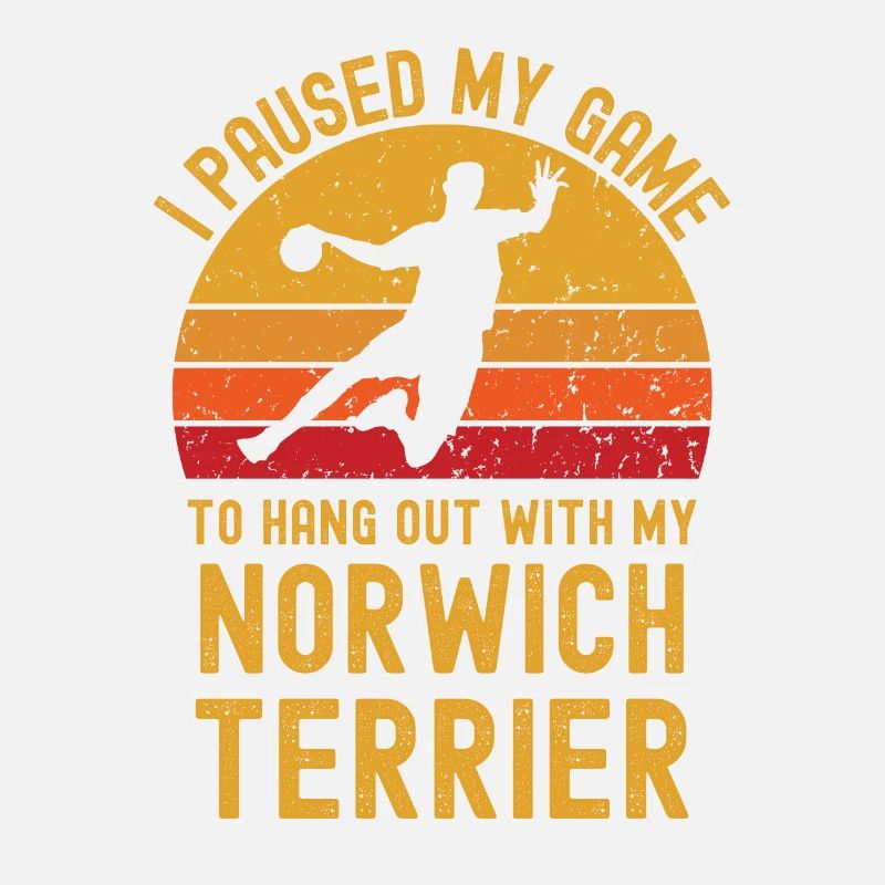 Handball und Norwich-Terrier