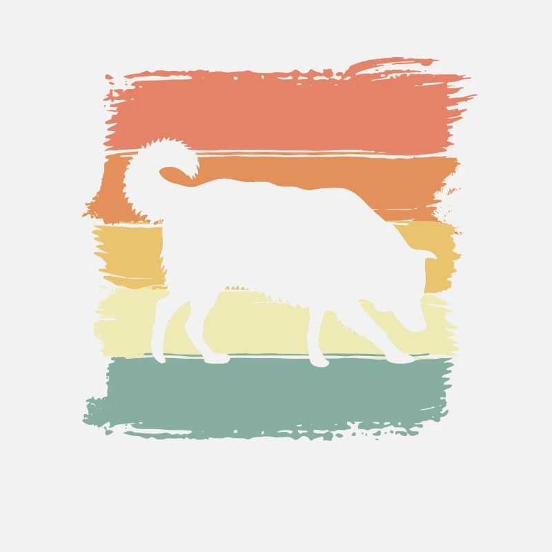 Border-collie retro