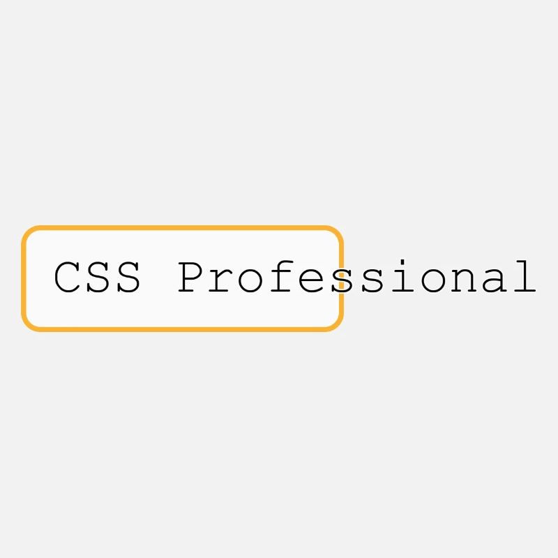 CSS Professional - Meister der Weblayouts