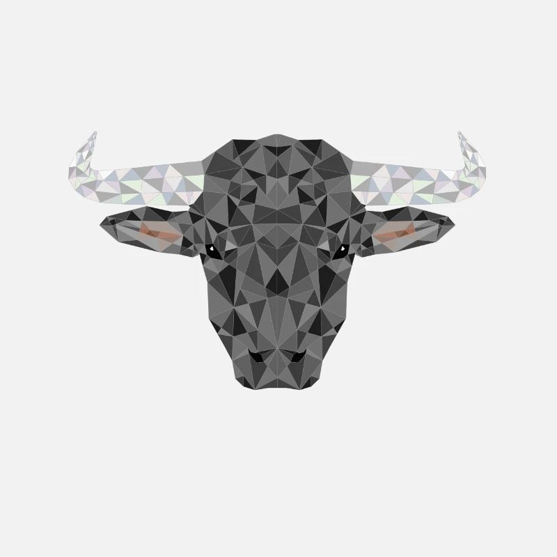 Bulle Stier Stierkampf Polygon Rind Tiere Spanien