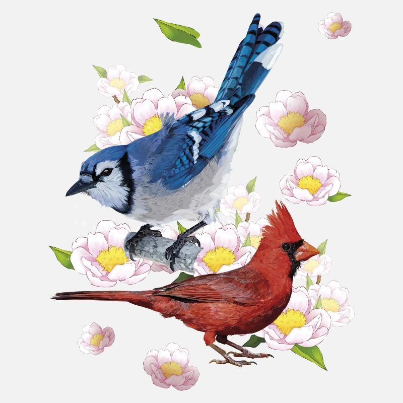 Der nördliche Kardinal und der blaue Eichelhäher
