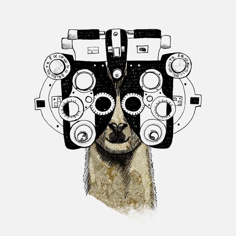 Alpaka & Phoropter