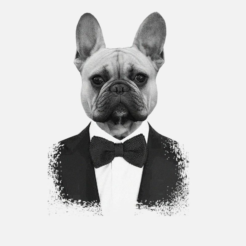 Bouledogue en Smoking Élégant
