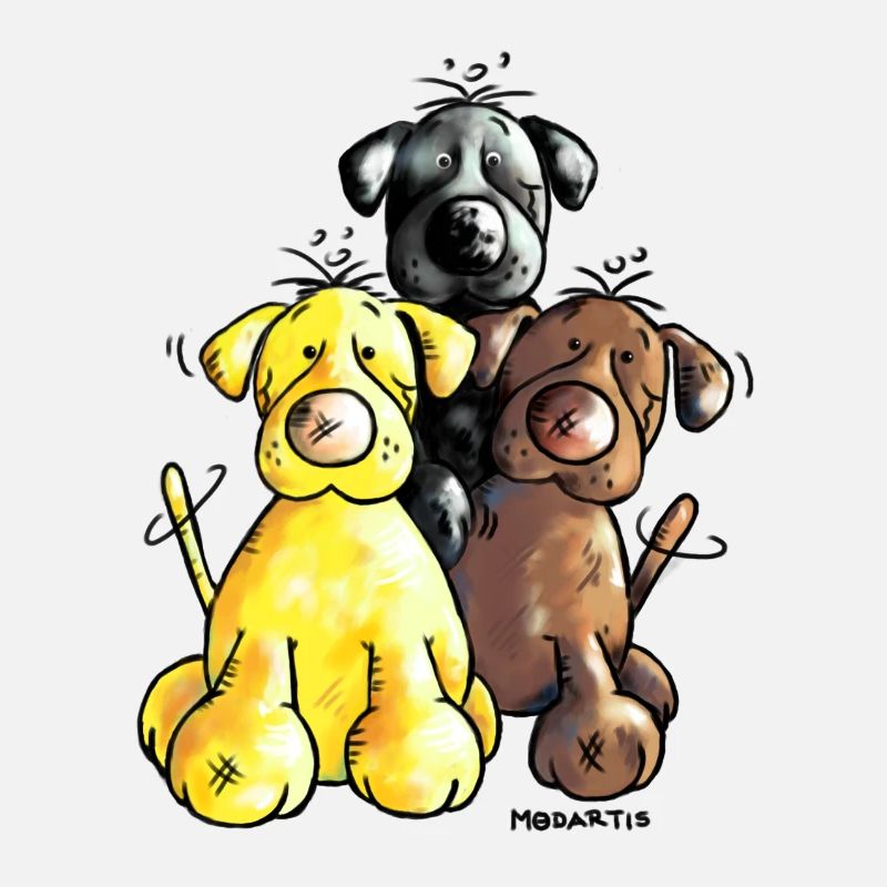 Labrador Retriever - Hund