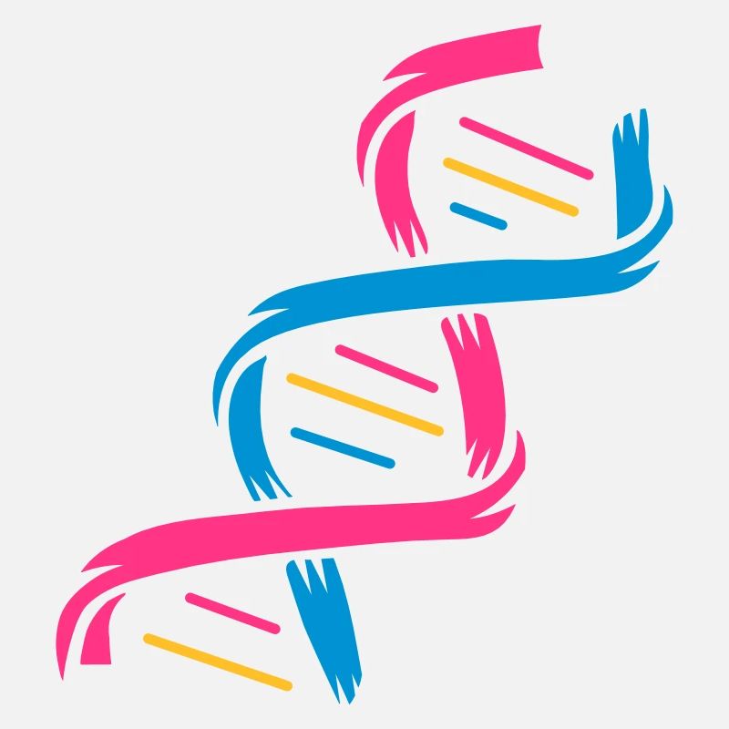 Die Struktur eines DNA-Moleküls