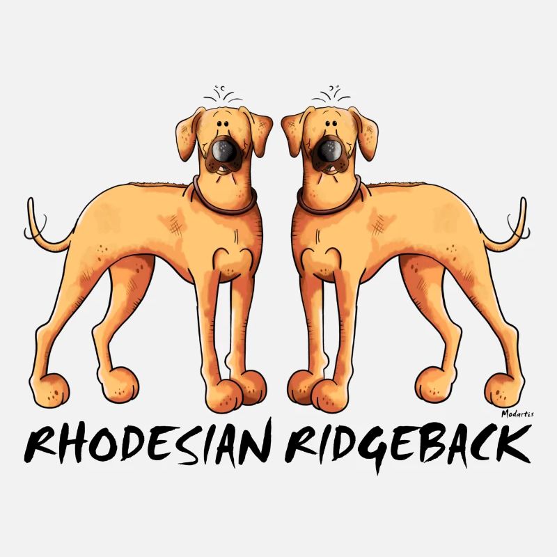 Rhodesian Ridgeback Duo