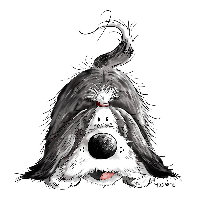 Bearded Collie