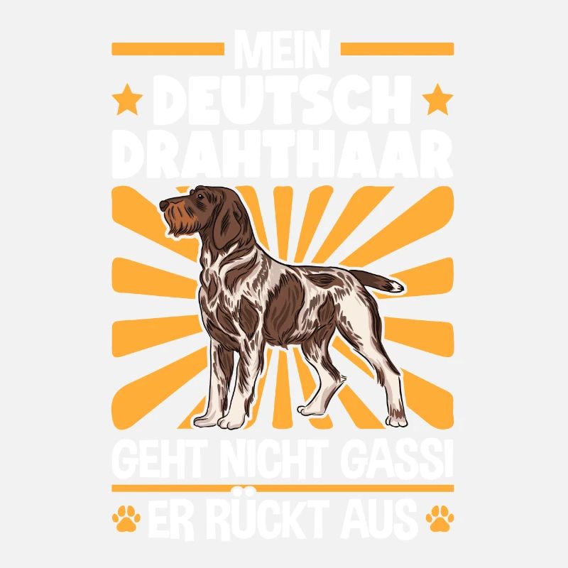 Deutsch Drahthaar Gassi gehen Jagdhund