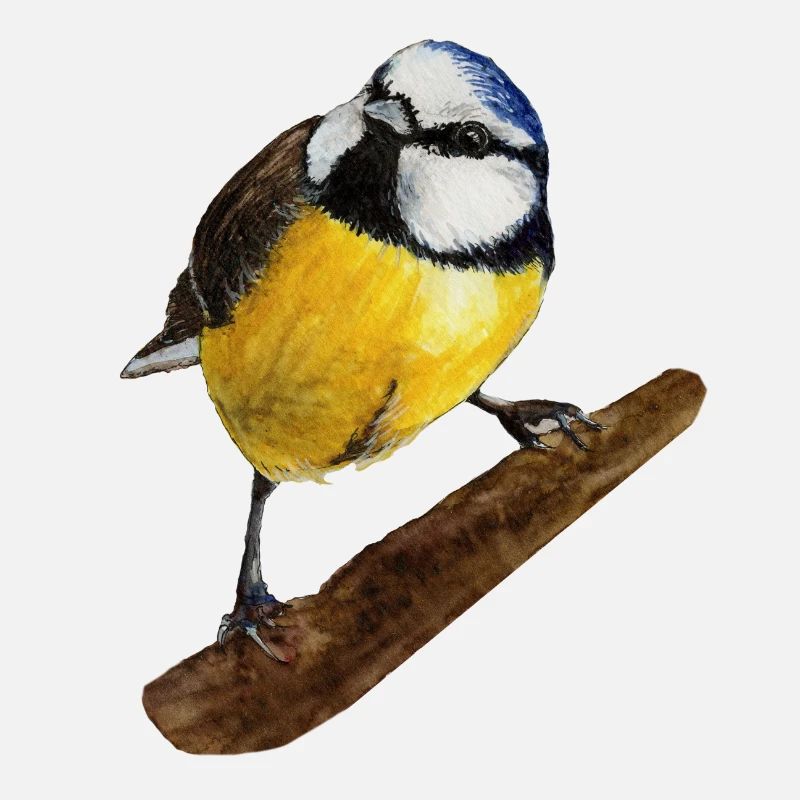 Aquarelle peinte à la main bleue