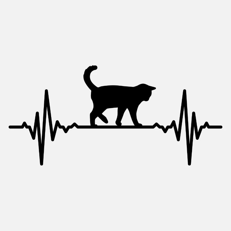 Cat pulse rate