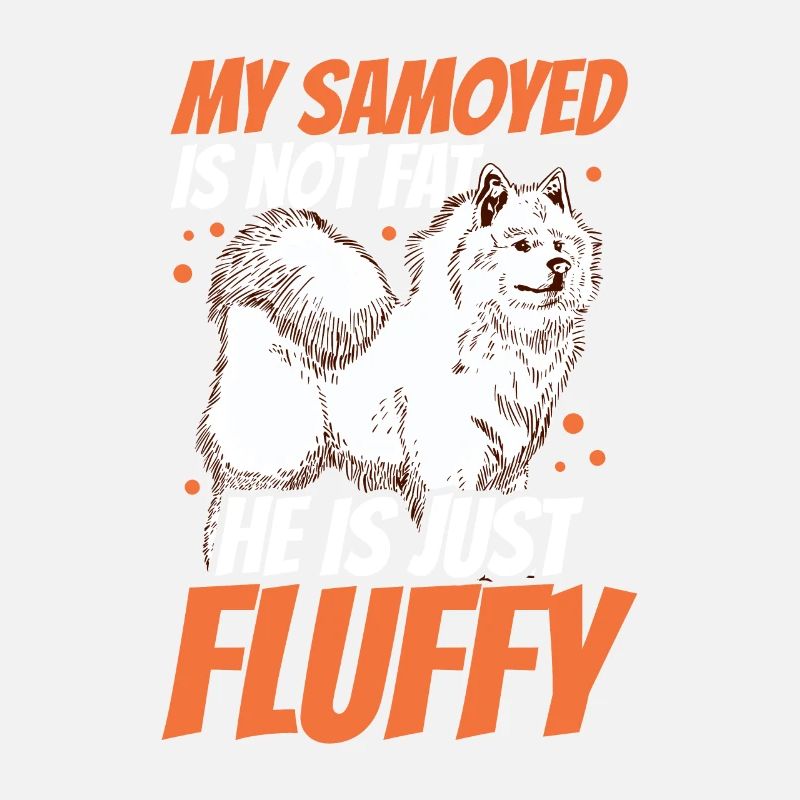 Samoyed is not fat Samoyedspitz Samoyed