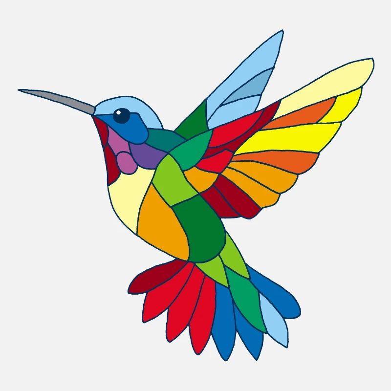 Colibri multicolore