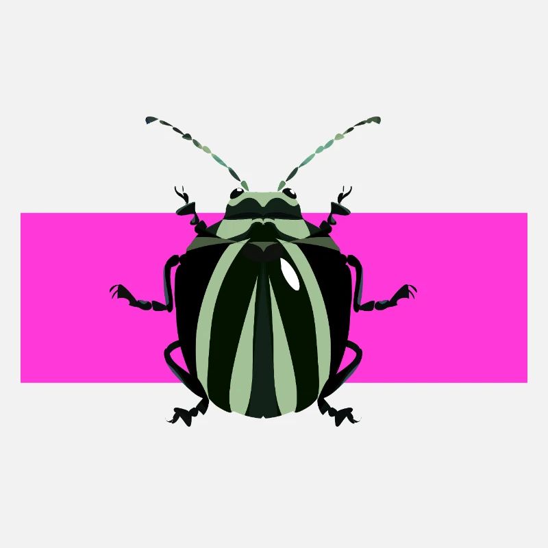 Description abstraite des insectes