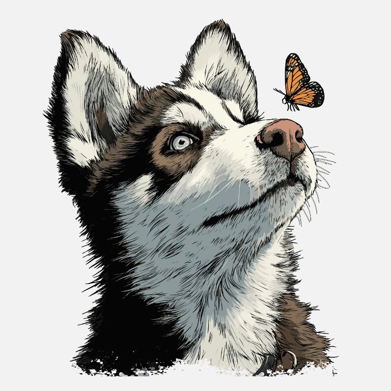 Curious husky puppy and butterfly