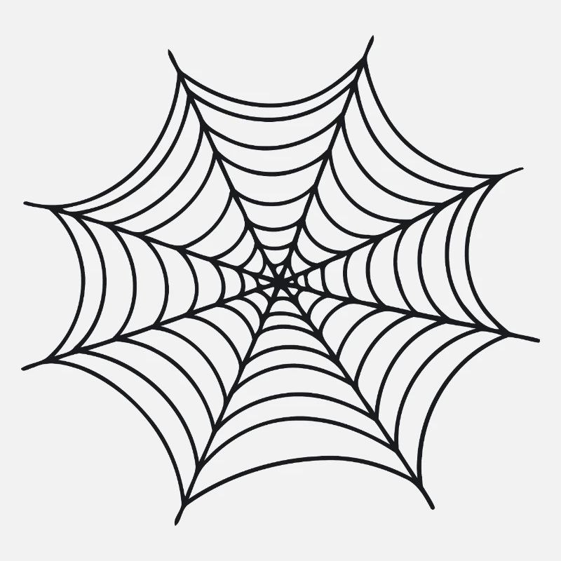 Black Minimalist Spider Web