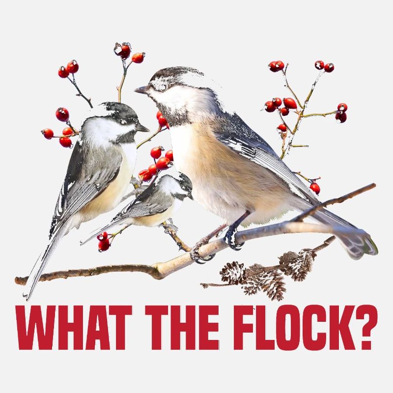  Chickadee Feeder Bird House Birdwatching Birder