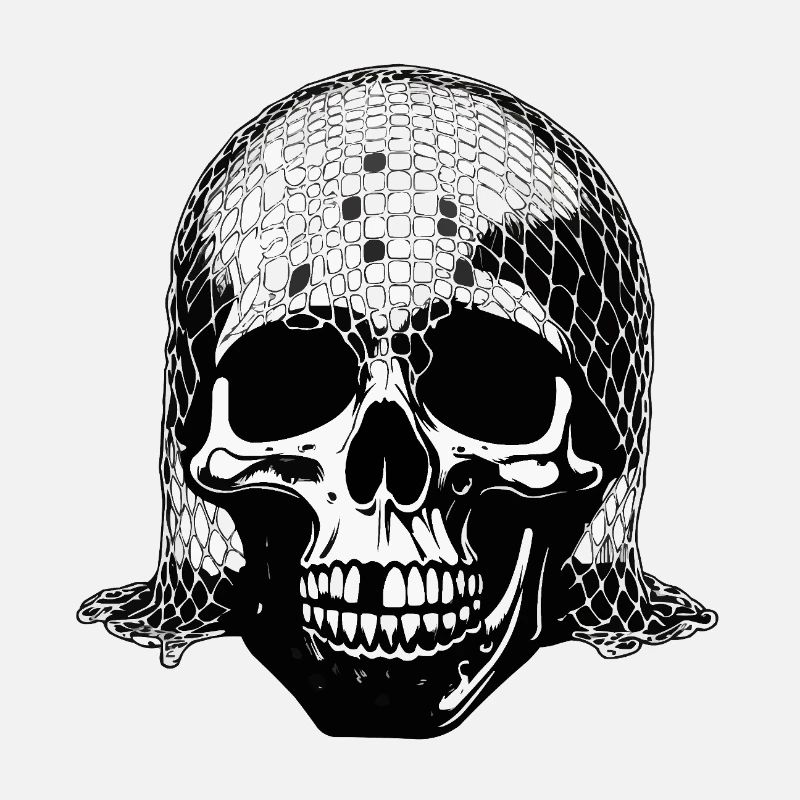 Skull with net veil