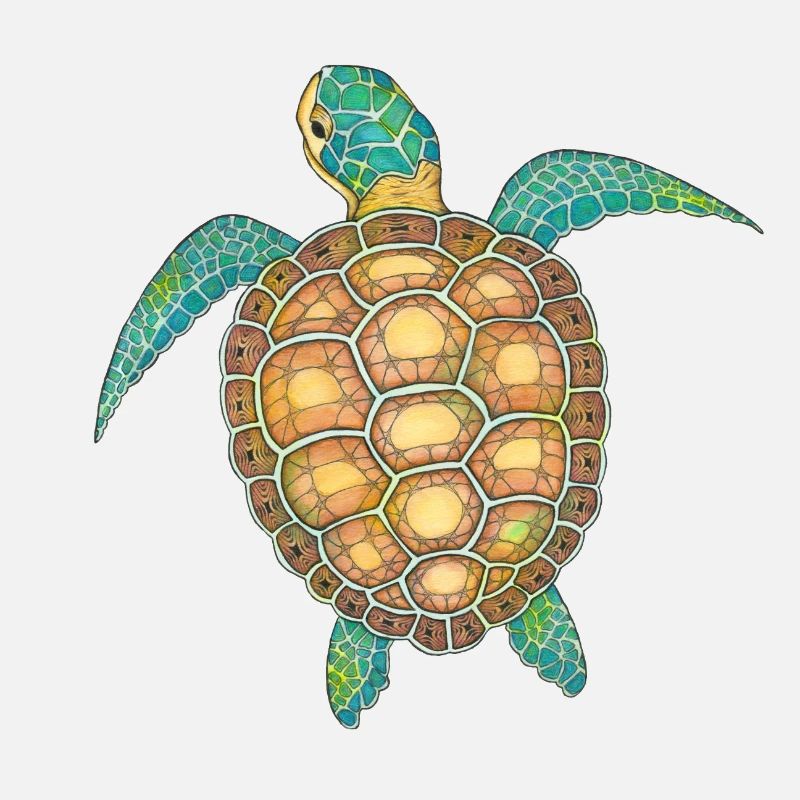 Sea Turtle Hand Drawn