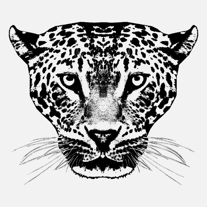 Leopard / Head