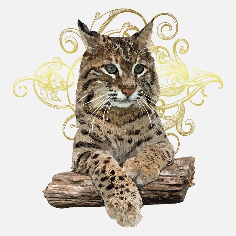 Lynx