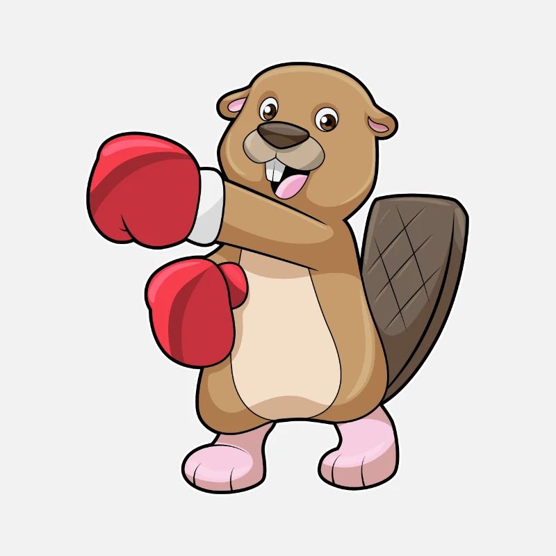 Castors en boxe avec des gants de boxe