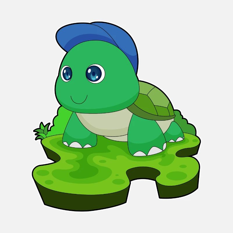 Tortoise Student Cap School