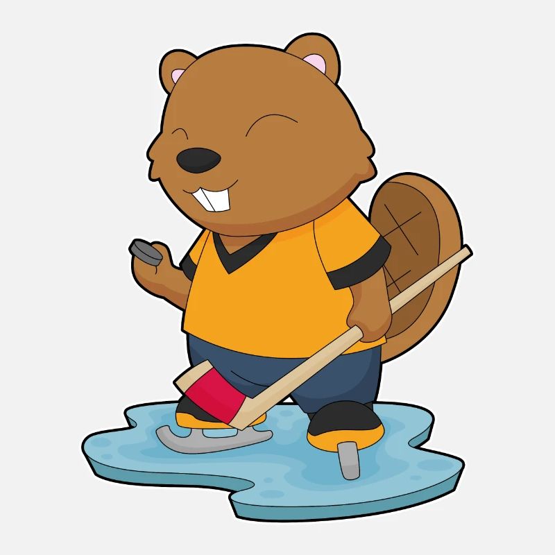 Biber Eishockey Eishockeyschläger