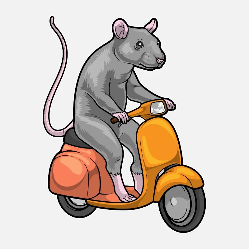 Rat Scooter