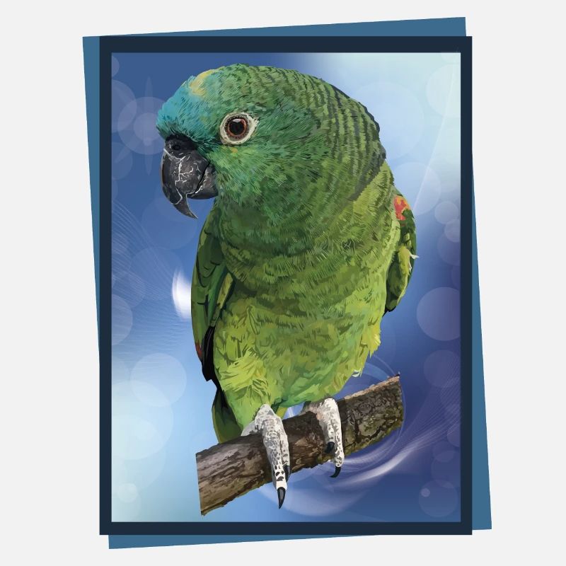 L’amazone à front bleu
