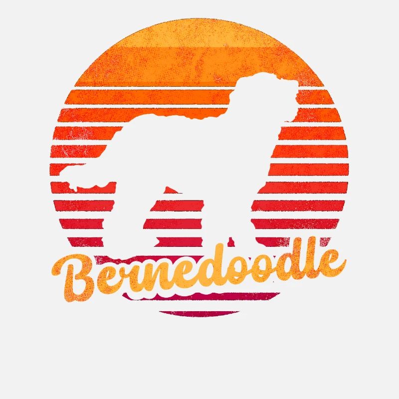 Bernedoodle Hund