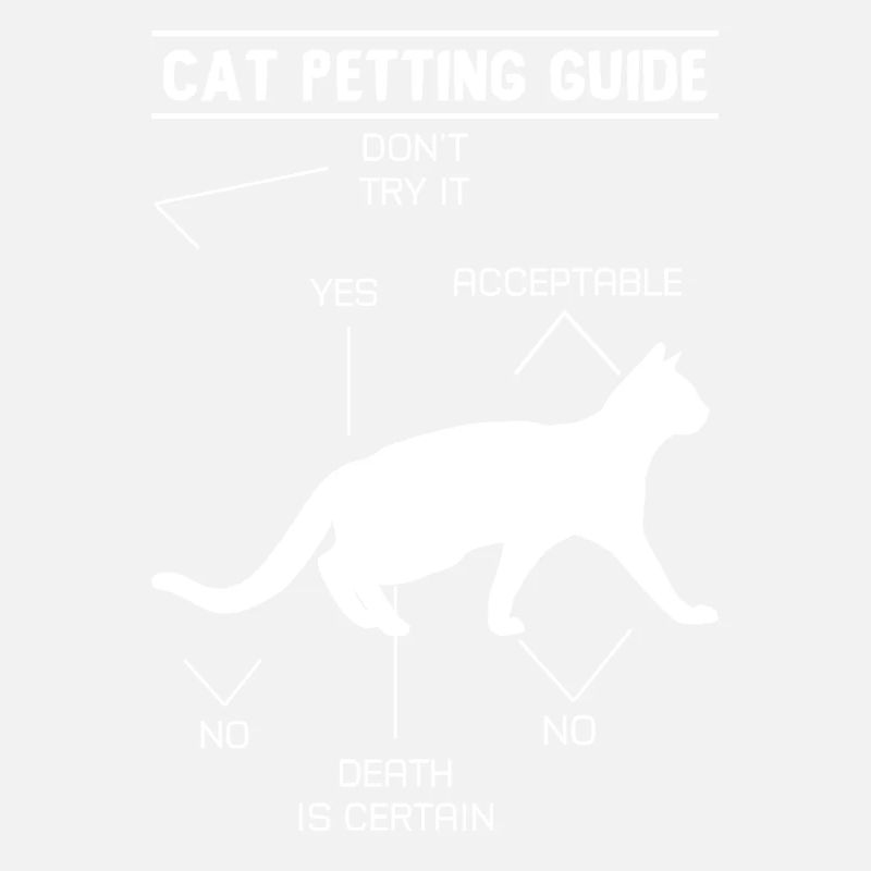 Guide de caresses pour chat