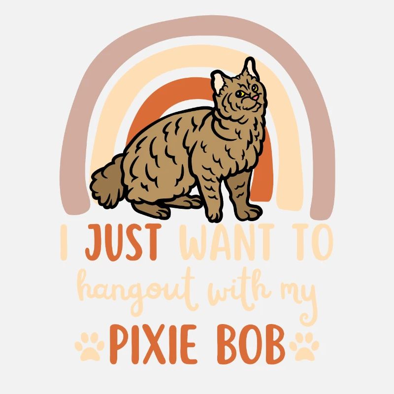 Cute Pixie Bob Cat