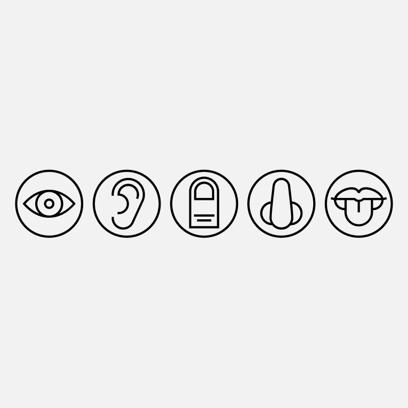 Five Senses, Sensory Organs, Medicine
