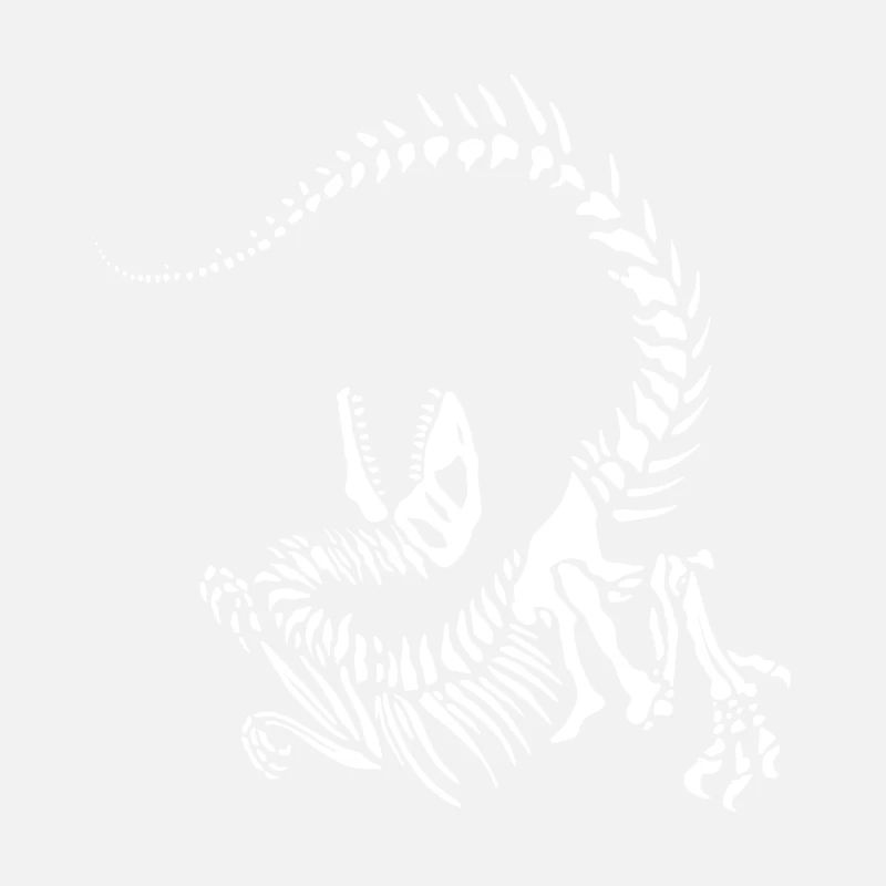 Raptor skeleton