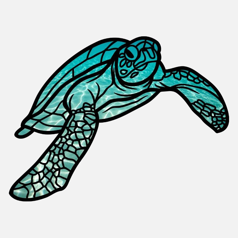 Sea turtle