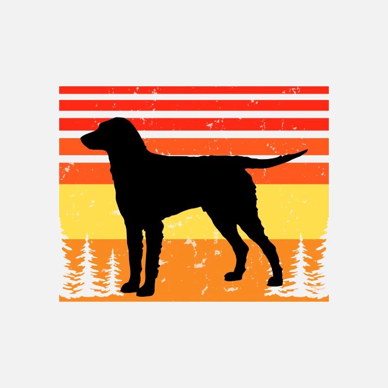 Curly Coated Retriever Dog Silhouette Retro Sunset