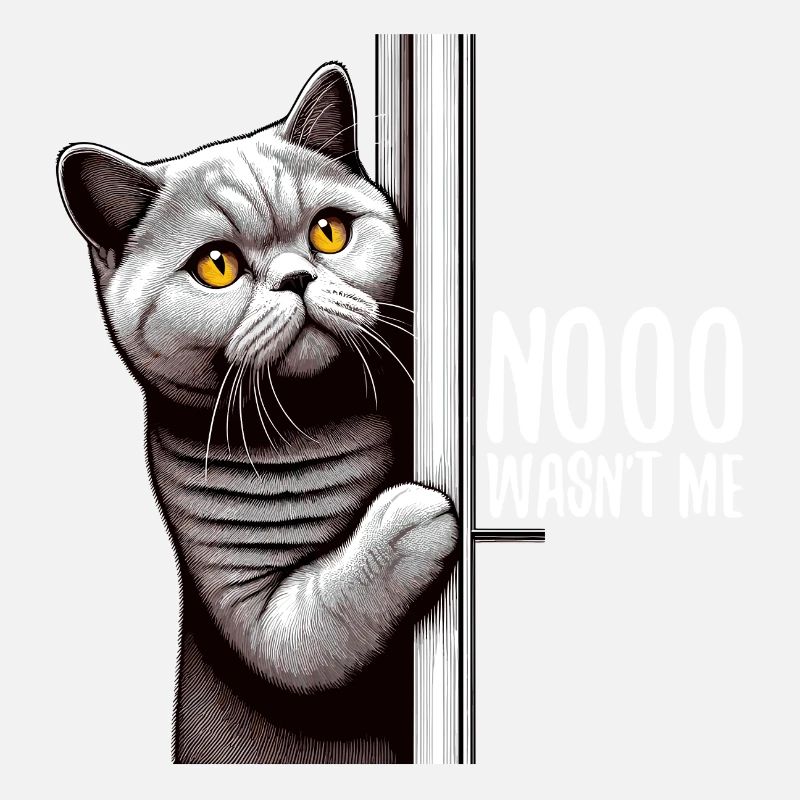 Nein war ich nicht BKH Blue Katze Geschenk