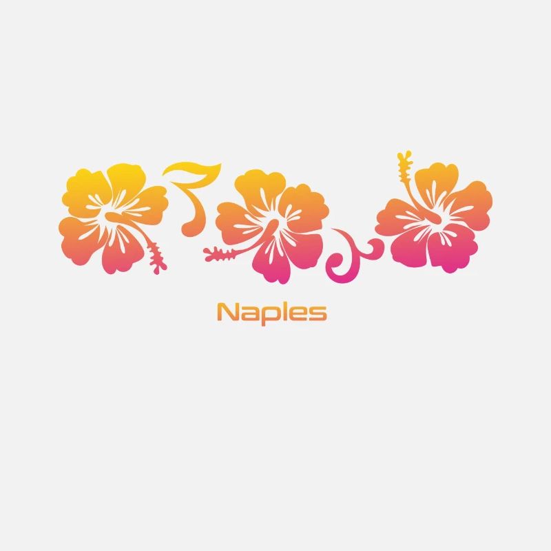 Naples Floride Hibiscus Souvenir Vacances
