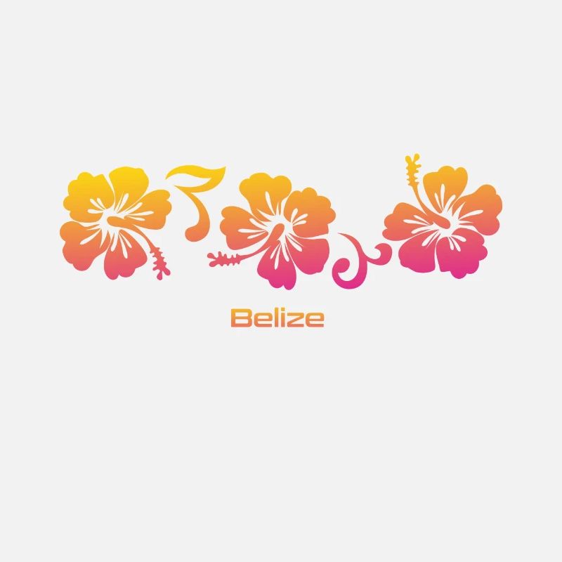 Belize Hibiskus Souvenir Urlaub