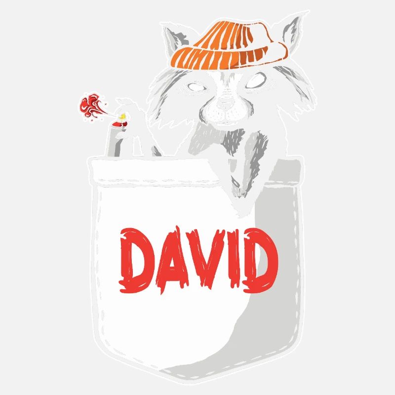 Raccoon David