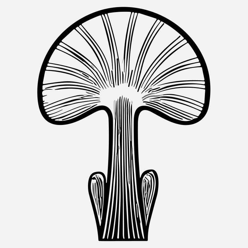 Champignon