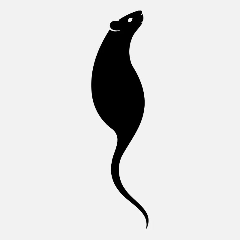 The Elegant Rat