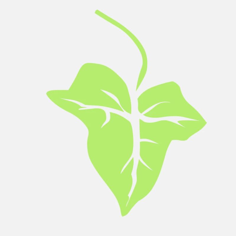 Efeu Blatt Leaf
