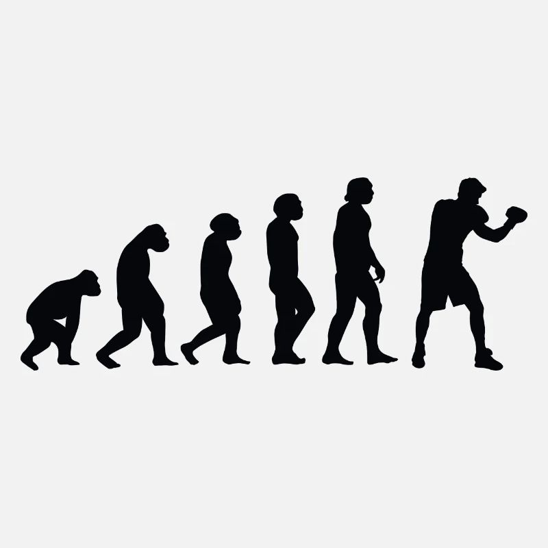 Evolution Boxing - Bo