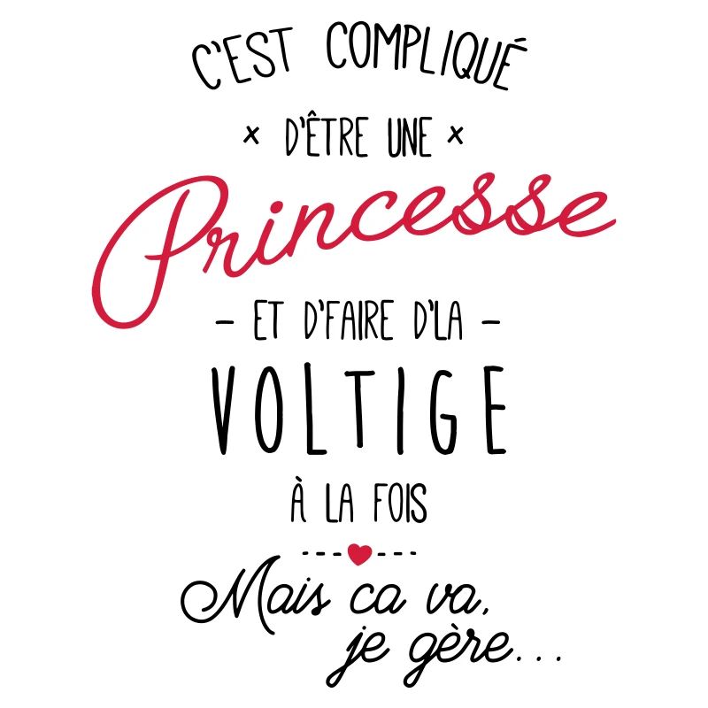 Princesse et Voltige avion
