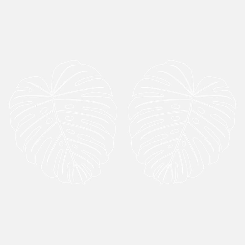 Monstera