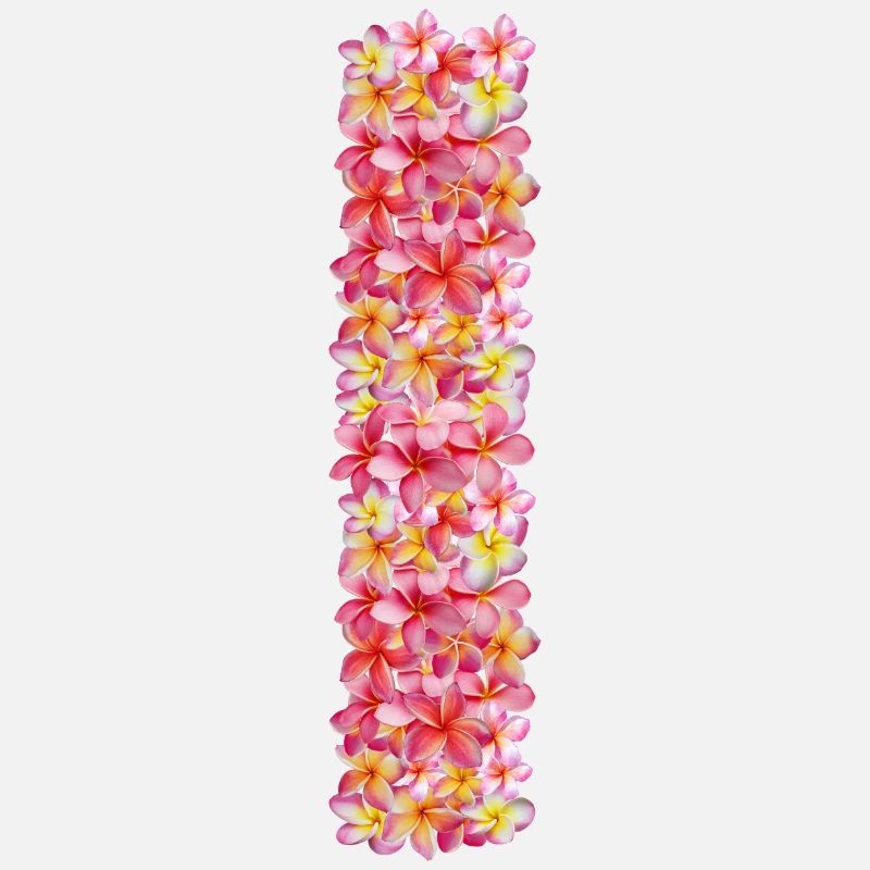 Frangipani flowers shape your name