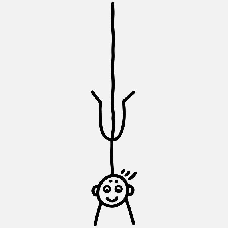 Bungee Sprung
